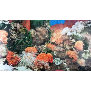 Canlı Petshop Arka Fon Deniz Mercanı 50 cm Uzunluk Yükseklik 50 cm No J01