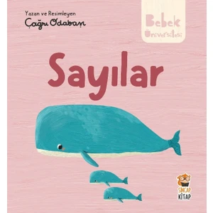 Bebek Üniversitesi: Sayılar - Çağrı Odabaşı