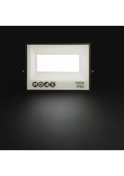 YL70-0100 100W LED Projektör 6500K Beyaz