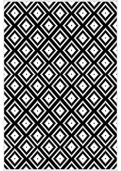 Salon Halısı Modern Geometrik Siyah Beyaz Kaydırmaz Kesme Yıkanabilir Ince Halı Tüysüz Kilim