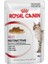 Instinctive In Jelly Kedi Konservesi 85 gr 1