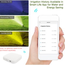 KKmoon Akıllı Tuya App Bt Su Zamanlayıcı Yağmur Gecikmesi (Yurt Dışından)