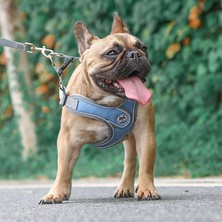 Yansıtıcı Köpek Göğüs Kayışı Ayarlanabilir Güvenlik Çekiş Halat Yelek Kayışı Köpek Koşum Köpek Koşum ve Tasma Seti | Koşumlar (Yurt Dışından)