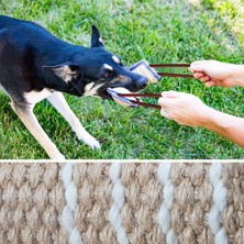 Dayanıklı Köpek Eğitim Bite Römorkör Yastık Kollu 2 Halat Kolları ile Eğitim Orta ile Büyük Köpekler Pet Malzemeleri | (Yurt Dışından)