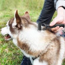 Kedi Köpek Fırçası, Hayvan Saç Fırçası Kiti 3 1 Profesyonel (Fırça Köpek Uzun Saçlar Bakım, Rake Çözünür, Kedi Tarak Saç Kısa) Kendi Kendini Temizleme Fırça Kidna (Yurt Dışından)