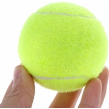 Otomatik Pet Besleyici Almak Tenis Topu Launcher Köpek Eğitim Oyuncaklar Interaktif Atma Top Makinesi | Köpek Oyuncakları (Yurt Dışından)