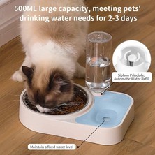 2 In1 Paslanmaz Çelik Köpek Kase Su Dağıtıcısı 500 ml Eko Dostu Ayrılabilir Anti Kayma Pet Besleyici Waterer Yok Islak Ağız | Köpek Besleme (Yurt Dışından)