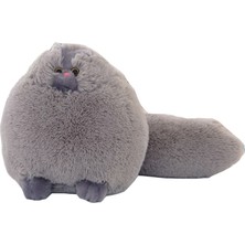 30 cm Kawaii Kabarık Kedi Peluş Oyuncaklar (Yurt Dışından)