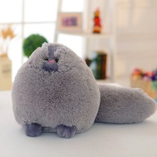 30 cm Kawaii Kabarık Kedi Peluş Oyuncaklar (Yurt Dışından)