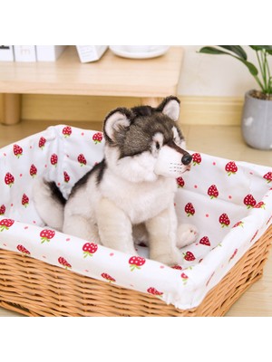 Gerçekçi Kurt Köpek Husky Yavru Peluş Dolması Hayvan Bebek Bebek Çocuk Kurt Lover Doğum Günü Hediyesi Ev Dükkanı Dekorasyon | Doldurulmuş ve peluş Hayvanlar (Yurt Dışından)