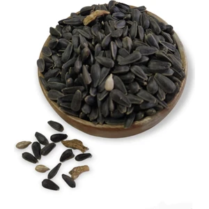 Hanımeli Pet Store Hanımelipetstore Paraket Siyah Çekirdek 1kg