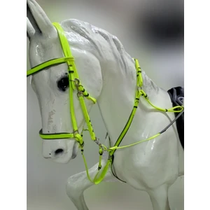 Ithal Endurcance Pvc Başlık + Dizgin + Göğüslük Martingal Set