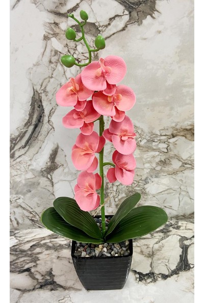 By Hanedan Dekoratif Saksılı Çiçek Orkide Çiçeği Yapay Çiçek