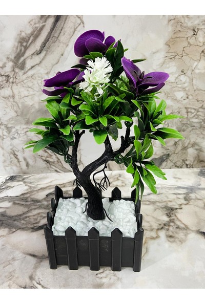 By Hanedan Dekoratif Saksılı Çiçek Bonsai Orkide Çiçek 3lü Set