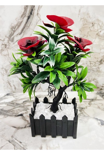 By Hanedan Dekoratif Saksılı Çiçek Bonsai Orkide Çiçek 3lü Set