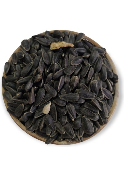 Hanımeli Pet Store Hanımelipetstore Paraket Siyah Çekirdek 1kg