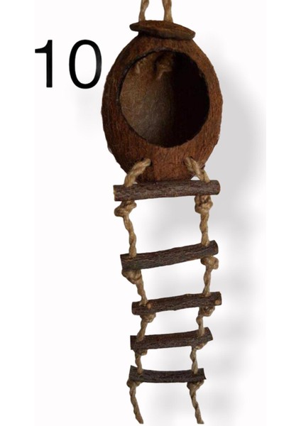 Hindistan Cevizi Yumurtalık ve Yuvalık fiyatları