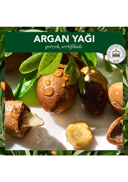 Vegan Şampuan Onarıcı Argan Yağı 400 ml + Saç Bakım Kremi 275 ml + Sprey Yağ 100 ml indirimleri