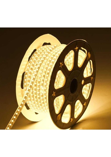 Hortum Esnek Şerit LED Beyaz ,amber,gün Işığı Rengi +220 Volt Fiş
