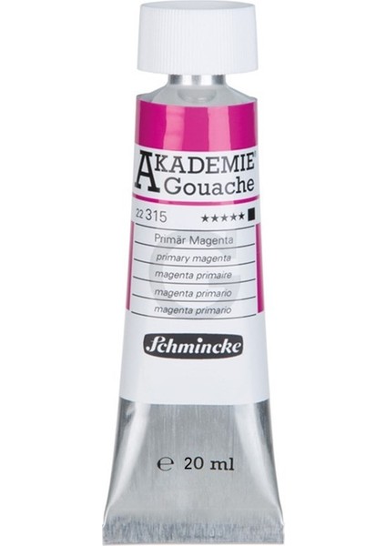 Akademie Guaj Boya 20 Ml. 315 Primary Magenta