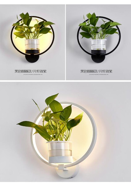 30 cm LED Duvar Lambası, 36W ile Üç Renkli LED Işık Çubuğu Yeşil Bitki Duvar Lambası, Koridor Duvar Lambası, Yuvarlak Işık, Yeşil Turp Bitkileri ile Gemi Yok (Yurt Dışından)