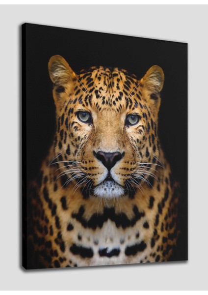 Leopar Dekoratif Kanvas Tablo 1184