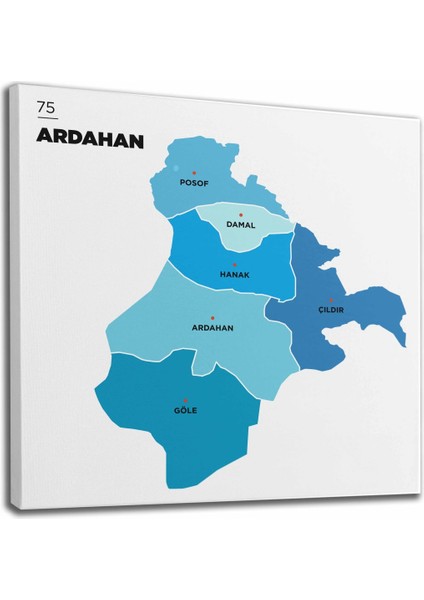Ardahan Ili ve Ilçeler Haritası Dekoratif Kanvas Tablo 1272