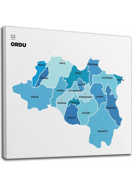 Ordu Ili ve Ilçeler Haritası Dekoratif Kanvas Tablo 1435 fiyatları