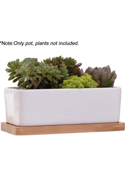 Masa Masa Dekorasyon Için Bambu Tepsi Etli Bitki Pot (Yurt Dışından) fiyatları