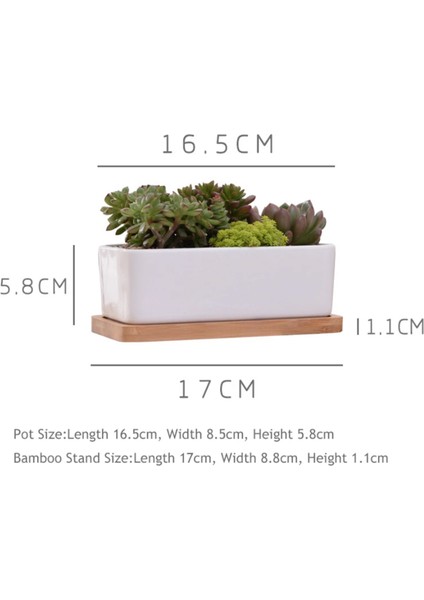 Masa Masa Dekorasyon Için Bambu Tepsi Etli Bitki Pot (Yurt Dışından) fırsatları