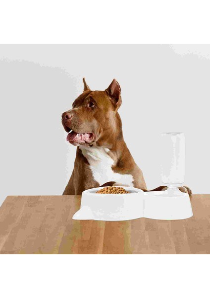 1 Adet Pet Içme Kase Köpek Kase Besleyici Köpek Kedi Gıda Besleyici Su Konteyner | Köpek Besleme (Yurt Dışından) fiyatları