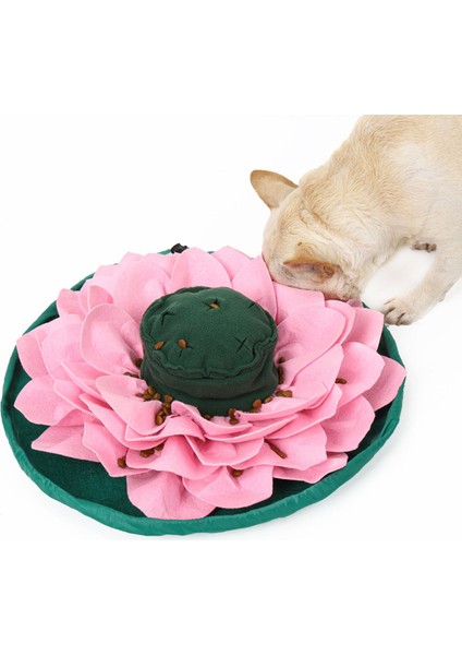Pet Koklama Mat Snuffle Mat Pet Köpek Bulmaca Oyuncaklar Yavaş Besleme Gıda Mat Köpekler Için Nosework Köpek Kase Mat Kedi Yavrusu Keyifli | Evler, Kennels kalemler (Yurt Dışından)