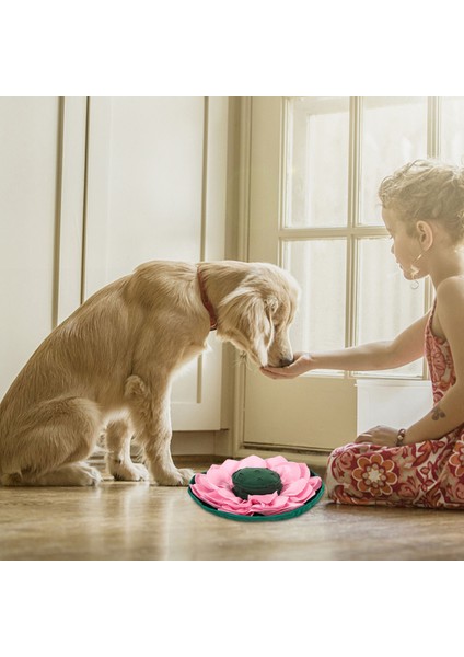 Pet Koklama Mat Snuffle Mat Pet Köpek Bulmaca Oyuncaklar Yavaş Besleme Gıda Mat Köpekler Için Nosework Köpek Kase Mat Kedi Yavrusu Keyifli | Evler, Kennels kalemler (Yurt Dışından)