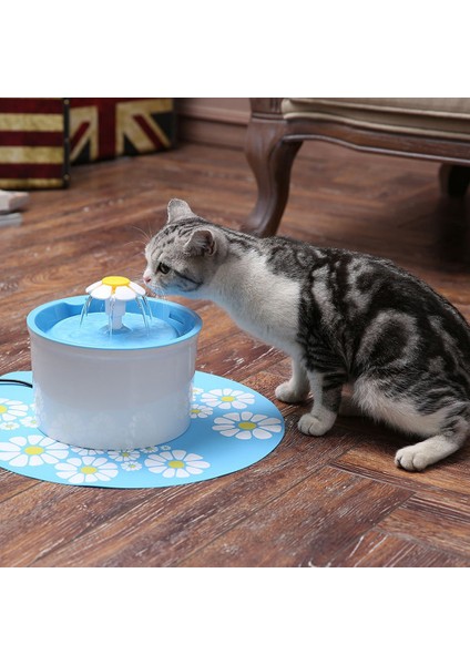 Otomatik Kedi Su Çeşmesi Içme Oto Su Dağıtıcı Besleyici Köpek Su Kasesi Filtrelenmiş Pet Malzemeleri 1.6l Köpek Besleyici Drinker | Kedi Besleme ve sulama Malzemeleri (Mavi) (Yurt Dışından) fırsatları