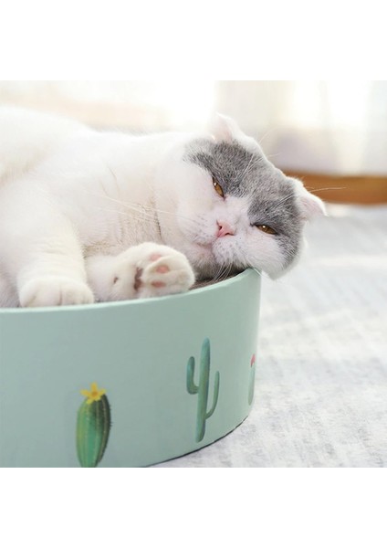 Kaktüs Kedi Çizik Kurulu Yuvarlak Kedi Çizik Oluklu Kedi Oyuncak (Yurt Dışından) fiyatları