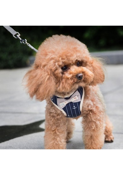 Köpek Kedi Pet Tasma Yelek Tipi Göğüs Kayışları Bedava Yürüyüşe Karşı Kedi Zinciri Kaçak Kaçak Kaçak Kaçak Kaçır (Yurt Dışından)