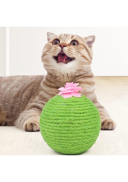 Sisal Kaktüs Kedi Kıyma Topu Oyuncak Pet Kedi Scratcher Kitten Scratch Ball Interaktif Oyuncaklar Kedi Malzemeleri | Mobilya ve çizikler (Yurt Dışından) modelleri