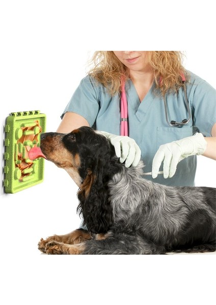Köpek Besleme Yalamak Mat Pet Köpek Besleme Yiyecek Kaseler Yavaş Yavaş Yavaş Yavaş Yiyecek Besleyici Balık Kase Obezite Köpeklerini Önleyin | Köpek Beslemesi (Yurt Dışından)