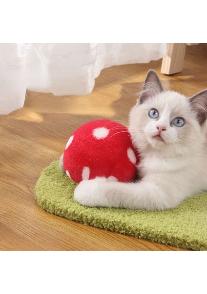 Yavru Sevimli Mantar Kedi Scratcher Board Mobilya Koruyun Pet Sağlık Sisal Mat Pençeleri Bakım Çizik Oyuncak Gönderi | Mobilya ve çizikler (Yurt Dışından) modelleri