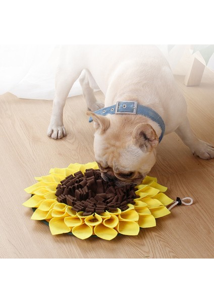 Pet Köpek Snuffle Eğitim Kıvrık Mat Anti Boğulma Yavaş Besleme Gıda Dağıtıcı Koku Eğitimi Kilo Yastık | Evler, Kennels & Amp;kalemler (Yurt Dışından)