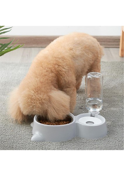 Pet Besleyici Pp Paslanmaz Çelik Kaymaz Köpek Kase Yavru Kedi Otomatik Su Dağıtıcı Yavru Drinker Sevimli Evcil Gıda Konteyner | Köpek Besleme (Yurt Dışından)