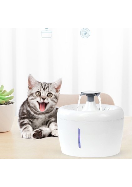 Otomatik Kedi Su Filtresi Çeşmesi Evcil Dispenser Için Büyük Içme Kase Cat Otomatik Apple Içme Filtresi 2.5l Kapasite | Kedi Besleme ve sulama Malzemeleri (Yurt Dışından) modelleri