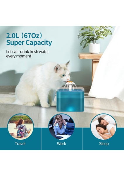 Otomatik Kedi Çeşmesi Su Içme Besleyici Kase Pet Köpek Kedi Su Dağıtıcı Dilsiz Otomatik Içme Çeşmesi Elektrikli USB | Kedi Besleme ve sulama Malzemeleri (Yeşil) (Yurt Dışından) indirimleri