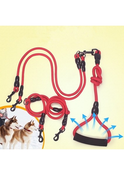 Pet Trackıng Halı Dönüşüm Köpek Kolay Kolu Kolu Ile Ilgili 2 Köpekler Için 1 Leash | Tasmalar (Kırmızı) (Yurt Dışından)