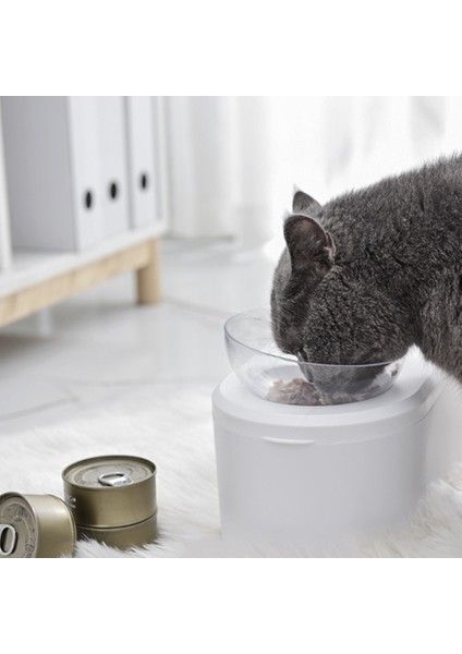 Beyaz Çift Kedi Köpek Beheler Standı Büyük Kapasiteli Evcil Gıda Depolama Yükseltilmiş Besleyici Konteyner Şeffaf Su Kase Ürün | Köpek Besleme (Yurt Dışından) fırsatları