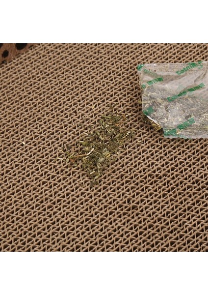 Şezlong Kanepe Dayanıklı Uyku Dinlenme Pençe Kalemtıraş Japon Kedi Pençesi Plaka Aşınmaya Dayanıklı Anti-Scratch (Yurt Dışından) fırsatları