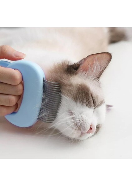 Kedi Tasarımı İle Evcil Hayvan Tarak - Mavi (Yurt Dışından)