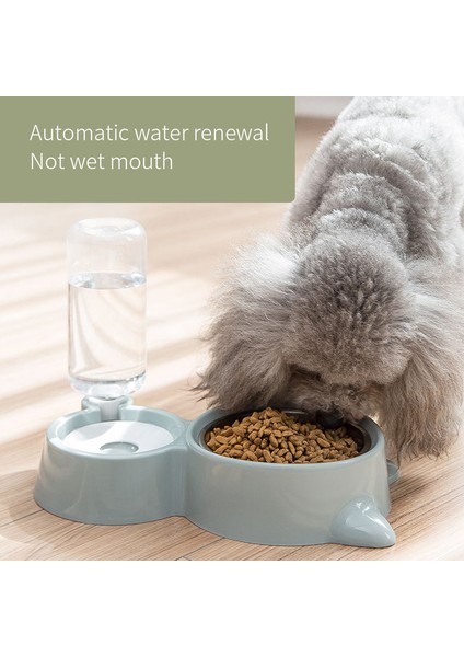 Pet Kase Otomatik Besleyici Köpek Kedi Gıda Kase Su Dağıtıcı ile Çift Kase Içme Içmez Ağız Paslanmaz Çelik Pet Malzemeleri | Köpek Besleme (Yurt Dışından) fırsatları
