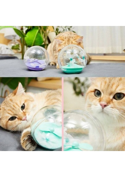 Elektrikli Kedi Kelebek Topu Yenilikçi Evcil Hayvan Komik Oyuncak Gerçekçi Çırpınan Kelebekler Yavru Köpek Yavrusu Oynamak Için | Kedi Oyuncakları (Yeşil) (Yurt Dışından) fırsatları