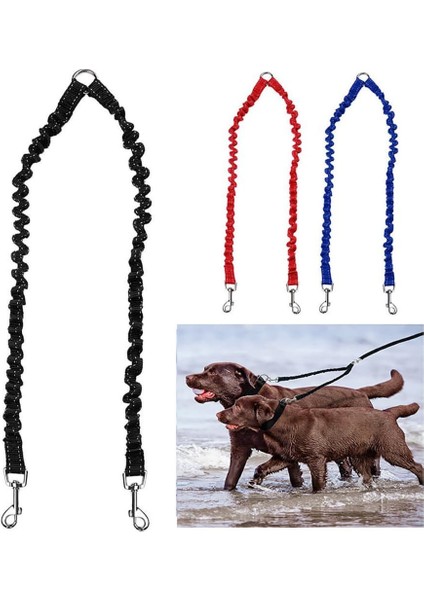 Bungee Çift Köpek Çoğaltıcı Kurşun, Hiçbir Arapsaçı Iki 2 Köpek Tasma ve Splitter Yürüyüş Yavru Küçük Orta Büyük Köpek (Siyah) (Yurt Dışından)